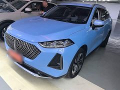 Great Wall Mach-E DHT-PHEV 2021 1.5L Master Edition - ფოტო 2