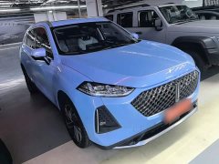 Great Wall Mach-E DHT-PHEV 2021 1.5L Master Edition - ფოტო 4