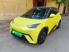 BYD Seagull Glory Edition 305km Vitality Version - ფოტო 1