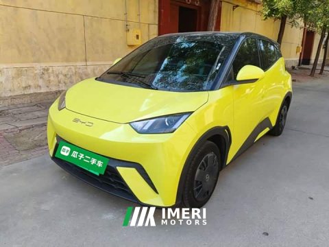 2024 BYD Seagull Glory Edition 305km Vitality Version - ავტომობილი ჩინეთიდან