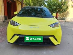 BYD Seagull Glory Edition 305km Vitality Version - ფოტო 3