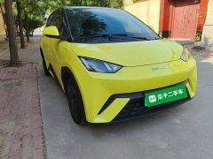 BYD Seagull Glory Edition 305km Vitality Version - ფოტო 4
