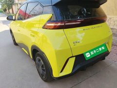 BYD Seagull Glory Edition 305km Vitality Version - ფოტო 5