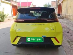 BYD Seagull Glory Edition 305km Vitality Version - ფოტო 6