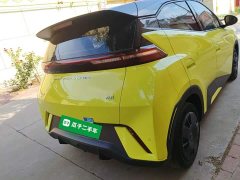 BYD Seagull Glory Edition 305km Vitality Version - ფოტო 7