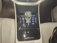 Denza BYD Denza D9 DM-i 1050 Premium - ფოტო 14