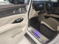Denza BYD Denza D9 DM-i 1050 Premium - ფოტო 16