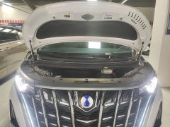 Denza BYD Denza D9 DM-i 1050 Premium - ფოტო 20