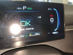BYD Destroyer 05 Glory Edition DM-i 55KM Luxury - ფოტო 12