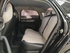 BYD Destroyer 05 Glory Edition DM-i 55KM Luxury - ფოტო 17