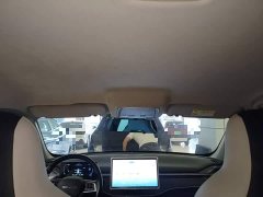 BYD Destroyer 05 Glory Edition DM-i 55KM Luxury - ფოტო 18