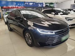 BYD Destroyer 05 Glory Edition DM-i 55KM Luxury - ფოტო 4