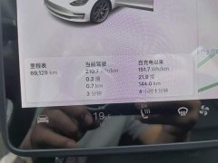 Tesla Model 3 Standard Range RWD Upgrade - ფოტო 12