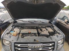 Great Wall Dachshund 1.5T DCT Two-Wheel Drive Malinois Edition - ფოტო 20