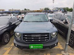 Great Wall Dachshund 1.5T DCT Two-Wheel Drive Malinois Edition - ფოტო 3