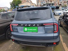 Great Wall Dachshund 1.5T DCT Two-Wheel Drive Malinois Edition - ფოტო 6