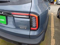 Great Wall Dachshund 1.5T DCT Two-Wheel Drive Malinois Edition - ფოტო 8