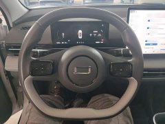 FAW Yueyue 03 565km Premium Edition - ფოტო 11