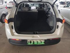 FAW Yueyue 03 565km Premium Edition - ფოტო 19