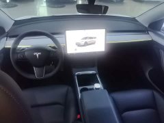 Tesla Model Y 2024 Rear-Wheel Drive - ფოტო 10