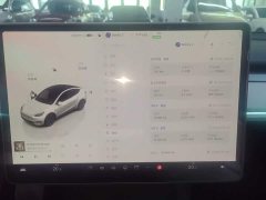 Tesla Model Y 2024 Rear-Wheel Drive - ფოტო 12