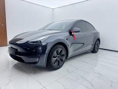 Tesla Model Y Rear-Wheel Drive - ფოტო 1