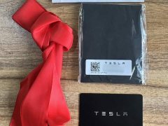 Tesla Model Y Rear-Wheel Drive - ფოტო 11