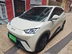 BYD Seagull 305km Vitality Edition - ფოტო 1