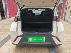 BYD Seagull 305km Vitality Edition - ფოტო 19