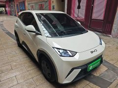 BYD Seagull 305km Vitality Edition - ფოტო 4