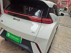 BYD Seagull 305km Vitality Edition - ფოტო 8