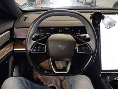Neta S Pure Electric 520km Rear-Wheel Drive Lite - ფოტო 11