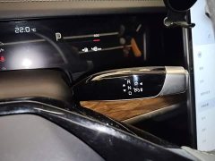 Neta S Pure Electric 520km Rear-Wheel Drive Lite - ფოტო 14