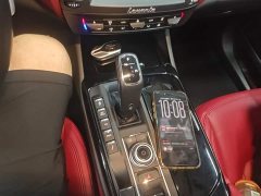 Maserati Levante 2019 3.0T Standard China VI - ფოტო 14