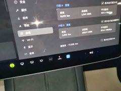 Tesla Model Y Rear-Wheel Drive - ფოტო 12