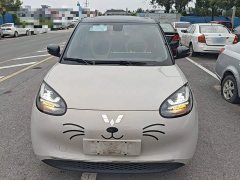 Wuling Binguo 2023 410km Lingxi Premium Edition - ფოტო 3