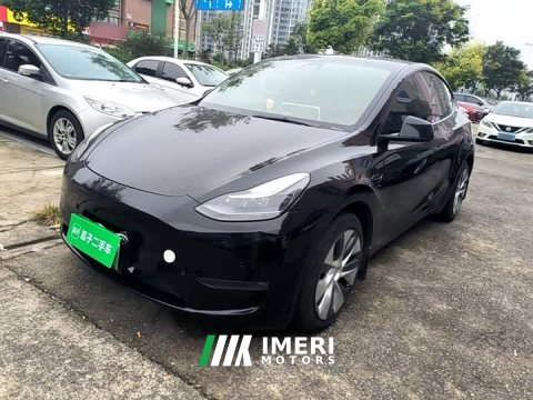 2021 Tesla Model Y Standard Range RWD - ავტომობილი ჩინეთიდან