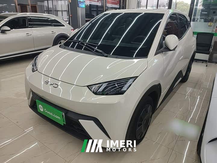 BYD Seagull 305km Vitality Edition - ავტომობილი ჩინეთიდან