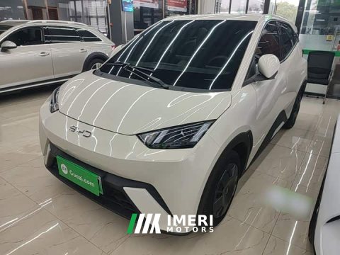 2025 BYD Seagull 305km Vitality Edition - ავტომობილი ჩინეთიდან