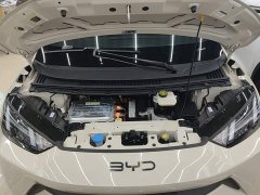 BYD Seagull 305km Vitality Edition - ფოტო 20