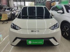 BYD Seagull 305km Vitality Edition - ფოტო 3