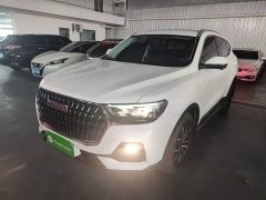 Haval H6 2023 National Trend Edition 1.5T Automatic Urban Version - ფოტო 1