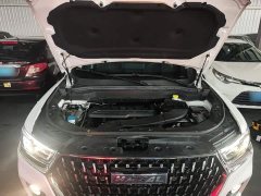 Haval H6 2023 National Trend Edition 1.5T Automatic Urban Version - ფოტო 20