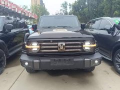 Tank 300 Urban Edition 2.0T Essential - ფოტო 3