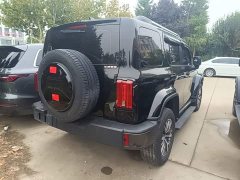 Tank 300 Urban Edition 2.0T Essential - ფოტო 7