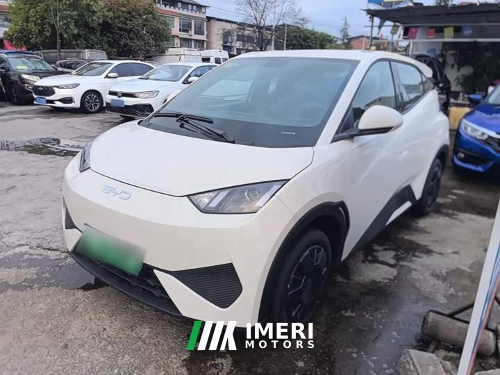 BYD Seagull Smart Drive 305km Vitality Edition