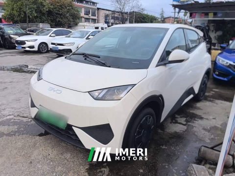 2026 BYD Seagull 2025 Smart Drive 305km Vitality Edition - ავტომობილი ჩინეთიდან