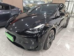 Tesla Model Y Rear-Wheel Drive - ფოტო 1