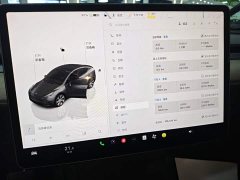 Tesla Model Y Rear-Wheel Drive - ფოტო 12