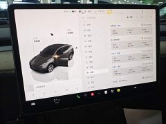 Tesla Model Y Rear-Wheel Drive - ფოტო 13
